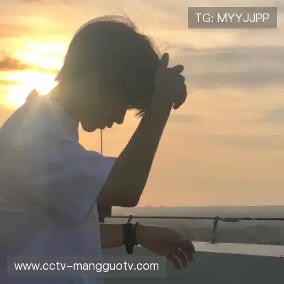曹椿国
